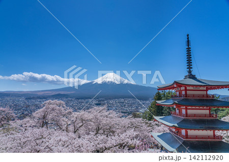 春の新倉山浅間公園から望む満開の桜と残雪の富士山と五重塔 春の新倉山浅間公園から望む満開の桜と残雪の富士山と五重塔 142112920