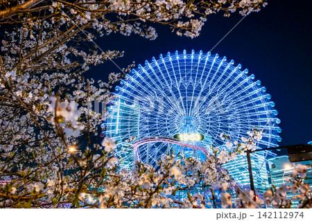 横浜みなとみらい21　夜桜と観覧車 142112974