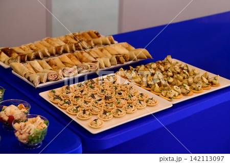 Assorted savory catering appetizer with wrap roll, tartlet, cracker snack and caesar salad served on plates during a buffet on a blue tablecloth. Assorted savory catering appetizer with wrap roll, tartlet, cracker snack and caesar salad served on plates during a buffet on a blue tablecloth. 142113097