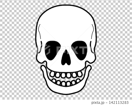 Illustration of skeleton 142113283