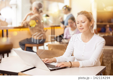 Calm woman sitting in cafe diligently doing her work on laptop Calm woman sitting in cafe diligently doing her work on laptop 142114294