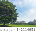 緑豊かな公園と都市の街並み 142114951