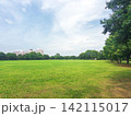 緑豊かな公園と都市の街並み 142115017