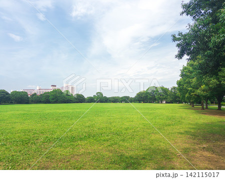 緑豊かな公園と都市の街並み 142115017