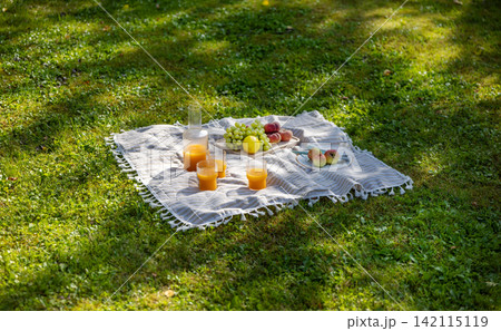 Summer Picnic with Fresh Fruit and Orange Juice on Blanket in Green Garden, Top View Summer Picnic with Fresh Fruit and Orange Juice on Blanket in Green Garden, Top View 142115119
