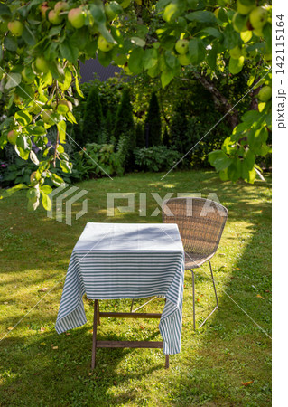 Empty Table with Blue and White Striped Tablecloth in Sunny Summer Garden Empty Table with Blue and White Striped Tablecloth in Sunny Summer Garden 142115164