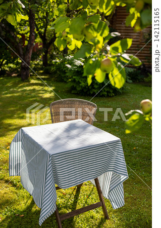Empty Table with Blue and White Striped Tablecloth in Sunny Summer Garden Empty Table with Blue and White Striped Tablecloth in Sunny Summer Garden 142115165