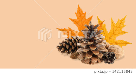 Autumn. Decorative arrangement of pine cones and vibrant autumn leaves enhances warmth 142115845