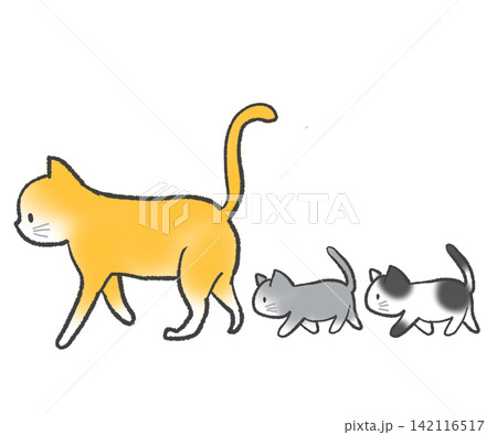 親猫の後を付いて歩く子猫 親猫の後を付いて歩く子猫 142116517