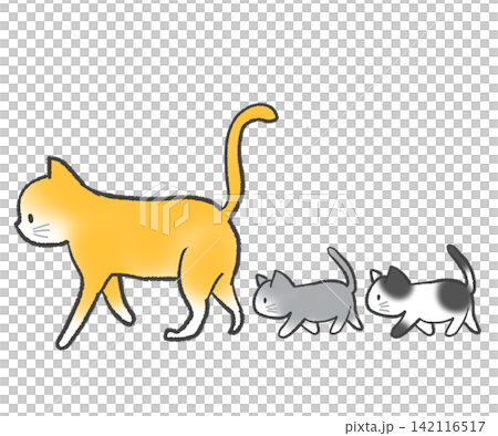 親猫の後を付いて歩く子猫 親猫の後を付いて歩く子猫 142116517