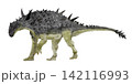 鎧竜ハンガロサウルス（ハンガリーのトカゲ）前脚より後ろ脚が長く走力を有したヨーロッパ産の曲竜類 142116993