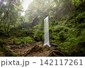 霧に包まれた森の中を流れる滝 142117261
