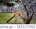 桜の枝越しに見る公園の滑り台 142117262