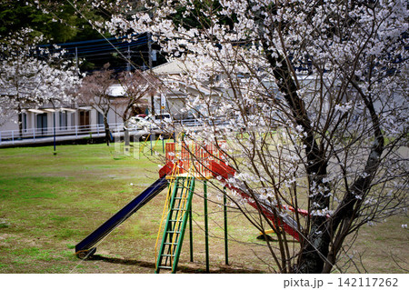 桜の枝越しに見る公園の滑り台 桜の枝越しに見る公園の滑り台 142117262