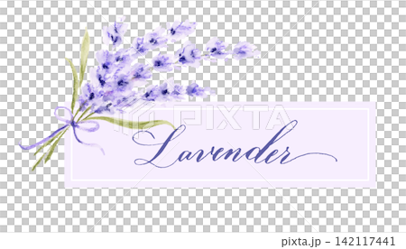 Watercolor hand-painted lavender bouquet frame | with hand-painted calligraphy lettering and botanical design Watercolor hand-painted lavender bouquet frame | with hand-painted calligraphy lettering and botanical design 142117441