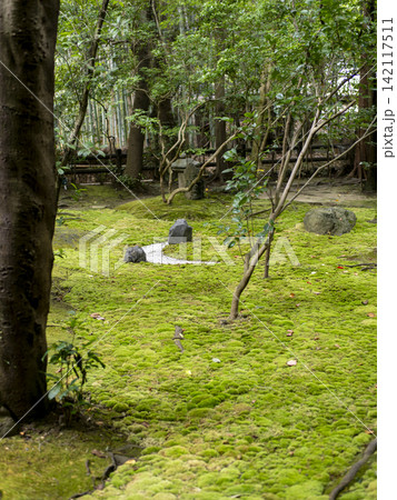 苔が広がる神社の庭園 142117511