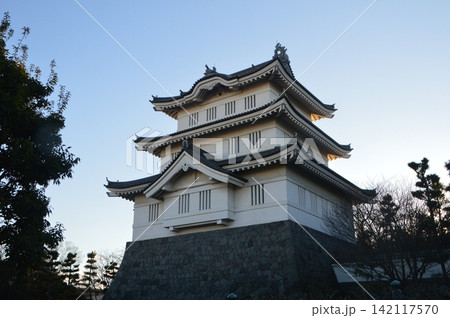 忍城(行田市郷土博物館/埼玉県行田市本丸) 忍城(行田市郷土博物館/埼玉県行田市本丸) 142117570