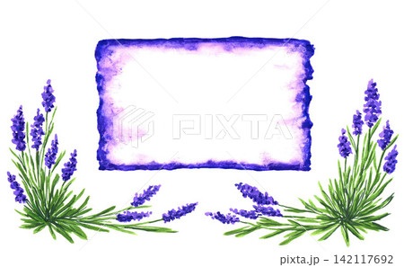 Hand drawn watercolor romantic natural floral frame, signboard. French style Provence for the decor of the store, salon, plant products. Lavender flowers. Hand drawn watercolor romantic natural floral frame, signboard. French style Provence for the decor of the store, salon, plant products. Lavender flowers. 142117692