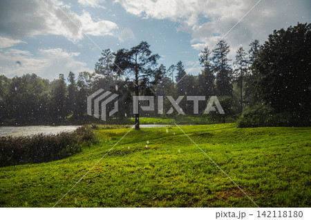 Picturesque sun shower in vibrant summer park with sparkling raindrops Picturesque sun shower in vibrant summer park with sparkling raindrops 142118180