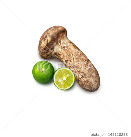 松茸 イラスト リアル マツタケ 142118228