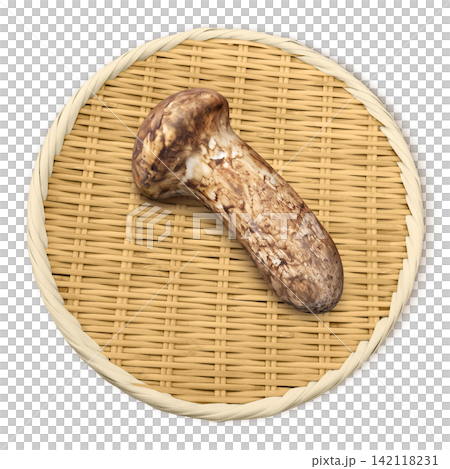 松茸 イラスト リアル マツタケ 142118231
