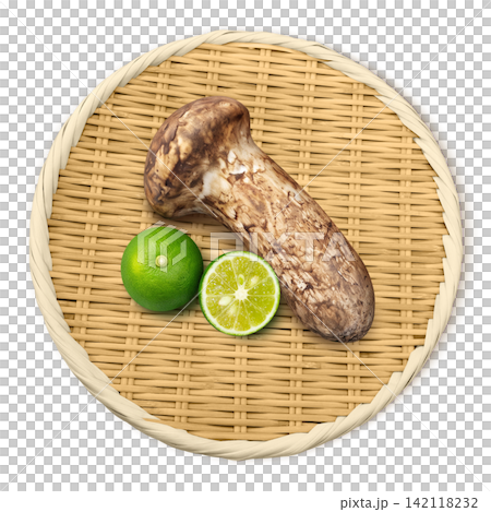 松茸的寫實插圖 松茸的寫實插圖 142118232