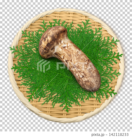 松茸的寫實插圖 松茸的寫實插圖 142118233