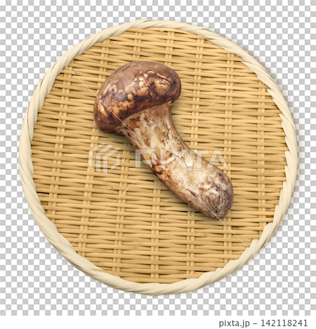 松茸的寫實插圖 松茸的寫實插圖 142118241