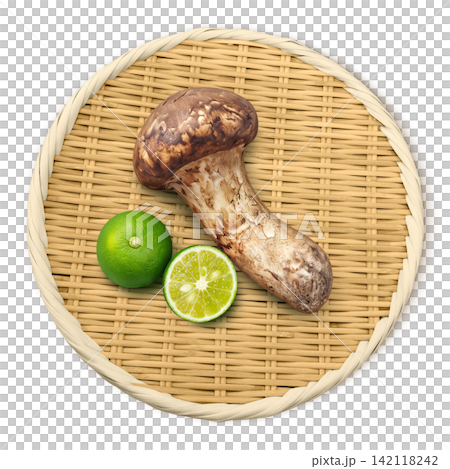 Realistic illustration of a matsutake mushroom 142118242