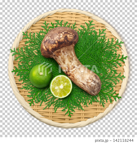 Realistic illustration of a matsutake mushroom Realistic illustration of a matsutake mushroom 142118244
