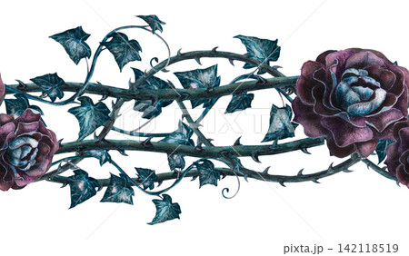 Seamless border dark roses, thorny vines, ivy leaves, and tendrils hand drawn watercolor illustration. Gothic victorian art for witch craft poison garden, halloween mystical botanical wallpaper print 142118519