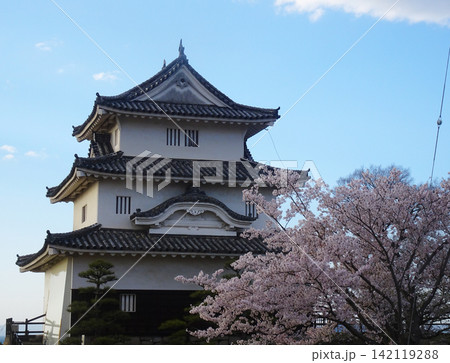 桜咲く丸亀城の天守閣と青空(香川県丸亀市) 桜咲く丸亀城の天守閣と青空(香川県丸亀市) 142119288