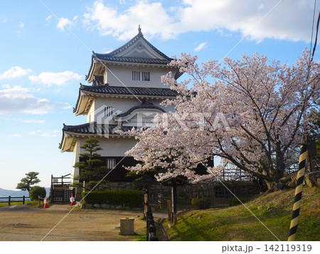 桜咲く丸亀城の天守閣と青空(香川県丸亀市) 桜咲く丸亀城の天守閣と青空(香川県丸亀市) 142119319