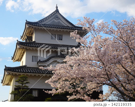 桜咲く丸亀城の天守閣と青空(香川県丸亀市) 桜咲く丸亀城の天守閣と青空(香川県丸亀市) 142119335