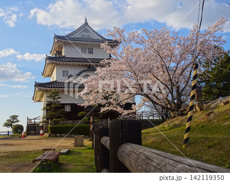 桜咲く丸亀城の天守閣と青空（香川県丸亀市） 142119350