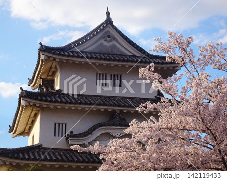 桜咲く丸亀城の天守閣と青空(香川県丸亀市) 桜咲く丸亀城の天守閣と青空(香川県丸亀市) 142119433