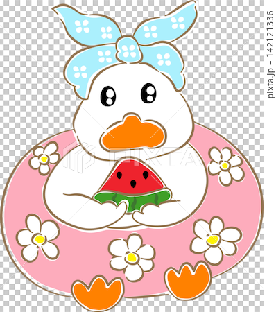 Duck eating watermelon slice on pink swim float vector Duck eating watermelon slice on pink swim float vector 142121336