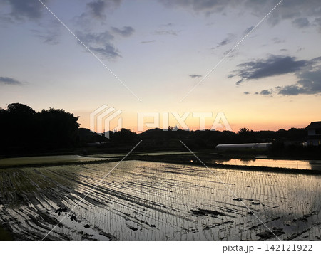 「水田、夕暮れ時」 奈良県明日香村散策 「水田、夕暮れ時」 奈良県明日香村散策 142121922