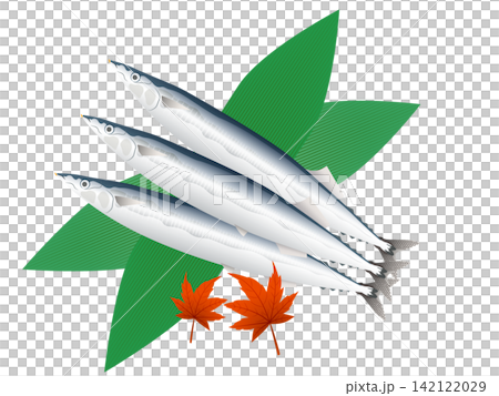 秋刀魚 142122029