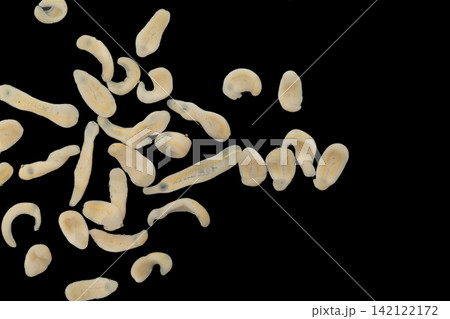 Freshwater Trematode Parasites: Clinostomum, Postorchigenes and Thapariella spp. for education in Lab. 142122172