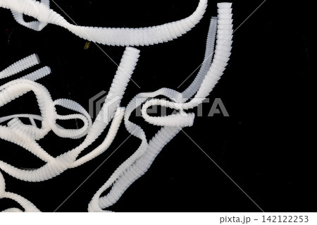 Freshwater Trematode Parasites: Clinostomum, Postorchigenes and Thapariella spp. for education in Lab. Freshwater Trematode Parasites: Clinostomum, Postorchigenes and Thapariella spp. for education in Lab. 142122253