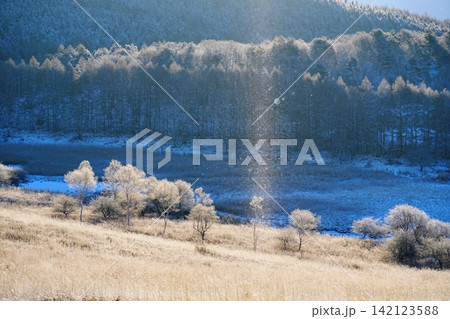 冬の湿原と霧氷の樹林を背景に白銀の草原に出現したダイヤモンドダストとサンピラー Ver2 冬の湿原と霧氷の樹林を背景に白銀の草原に出現したダイヤモンドダストとサンピラー Ver2 142123588