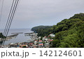緑豊かな真鶴を望む港と海辺の風景 142124601