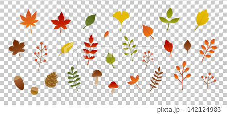 Autumn leaf illustration set: maple, ginkgo, fallen leaves, withered leaves, maple tree, plants, decoration, ornament, nature. Autumn leaf illustration set: maple, ginkgo, fallen leaves, withered leaves, maple tree, plants, decoration, ornament, nature. 142124983