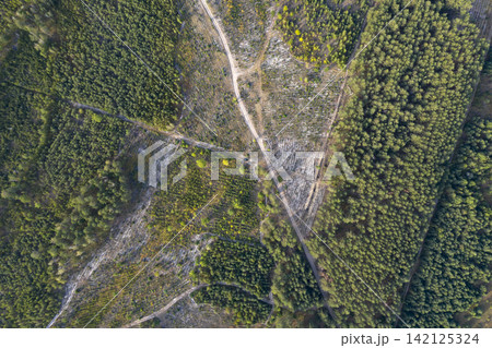 road, view from above, aerial view 142125324
