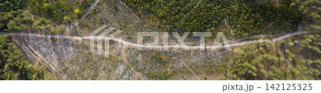 road, view from above, aerial view 142125325