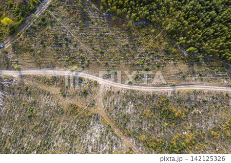 road, view from above, aerial view 142125326