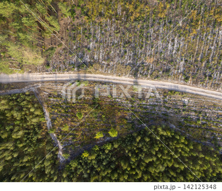 road, view from above, aerial view road, view from above, aerial view 142125348