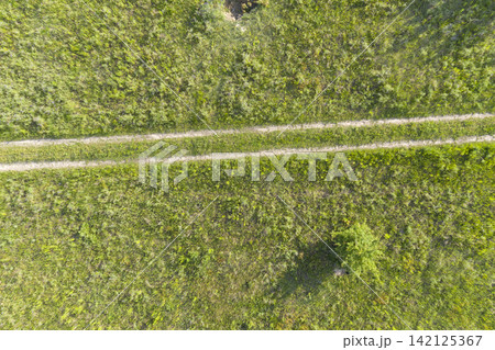 road, view from above, aerial view 142125367