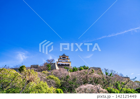 【日本100名城】丸亀城 春の城山と青空 香川県丸亀市 【日本100名城】丸亀城 春の城山と青空 香川県丸亀市 142125449